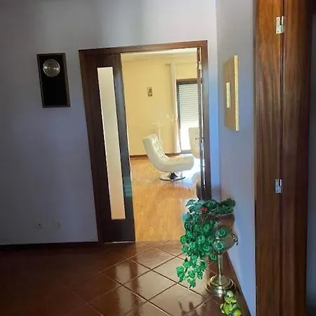 Appartamento 26 Min De Porto Lordelo (Porto)
